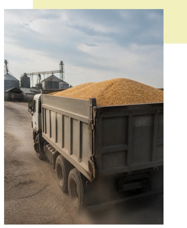 Перевозка сельхозпродукции навалом в Тутаев по цене от 3145 р. | Агросервис-Ттв
